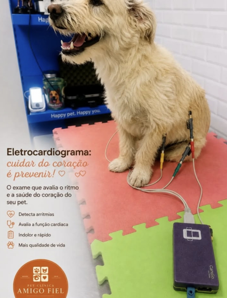 Cão realizando eletrocardiograma na Pet Clínica Amigo Fiel